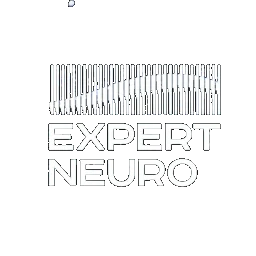 Expert